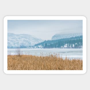 Frozen Winter Lake and Forest Landscape Sticker